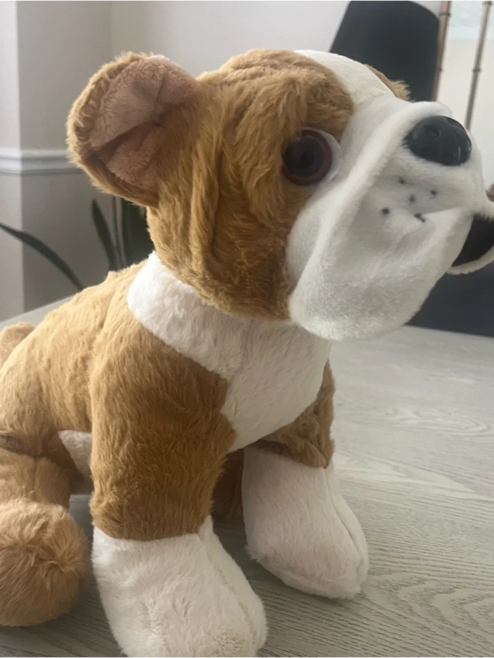 Teddy Mountain 16”‎ Plush Bull Dog w/Pumpkin Costume~DIY Birthday Craft